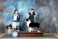 Australian Shepherd #14 Sun OHG1 OHBIS Judge Joan Liebes