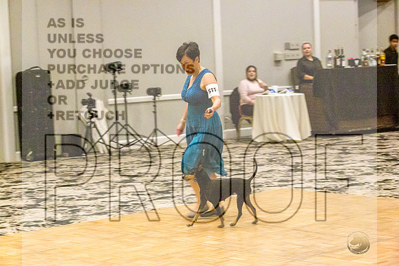 Manchester Terrier MTOY Candids-JJL_2118-Hstn2022_HR3