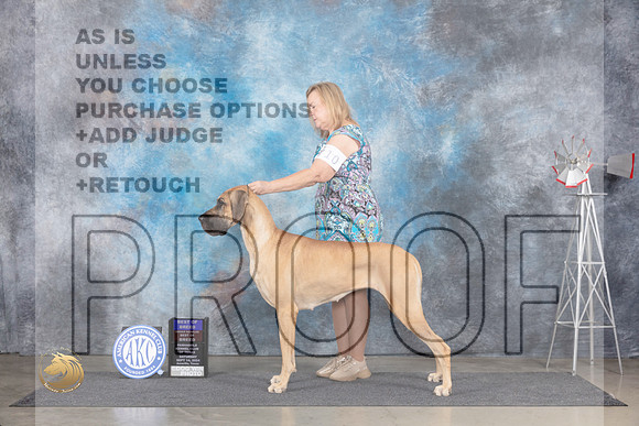 Great Dane #10 Sat BOBOHBOB Judge Ann Roth__JP_5670_Amarillo_2024_HR3