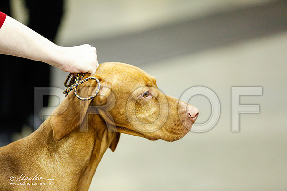 _RH_1180-BeltonJan2015IABCA-HR3