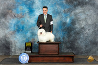 Coton #6 Mon G3 Judge David Bolus