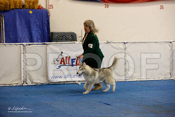 _M3_0197-AddisonHuskyMar2015-HR3
