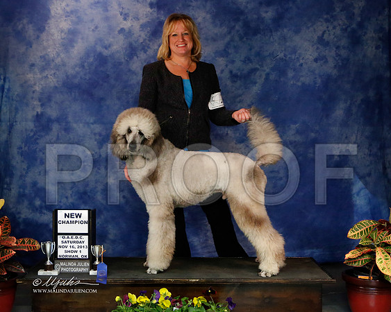PoodStd-2-47-NormNov2013-HR