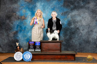 Papillonn #5 Sunn WDBOWBOBOHBOB Judge Pamela Wilson