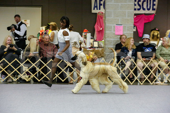 _JJ_9075-AfgBeltonOct2014-HR3