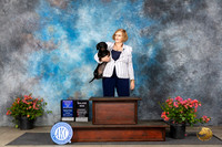 Dachshund Smooth #8 Fri WBBOWOHBOBM Judge Polly (Mrs Robert) D Smith