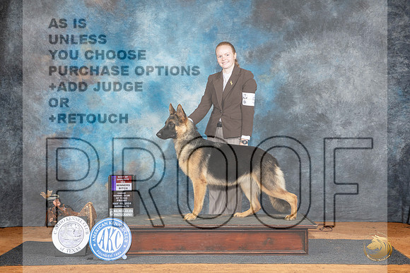 German Shepherd Dog #8 Fri WBBOS Judge Karen Hynek__JP_6913_MARSHALL_2024_HR3