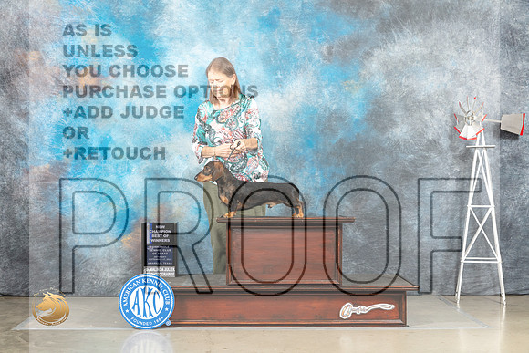Dachshund Wirehired #9 Sat BOWCh Judge Eric Liebes_MJ_4465_Amarillo_2022_HR3