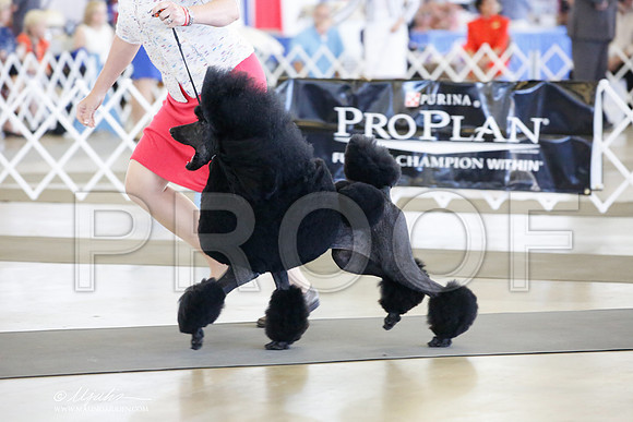 _JJ_7215-DallasJul2014-HR3