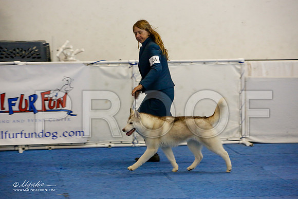 _M3_0574-AddisonHuskyMar2015-HR3