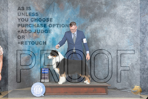 Australian Shepherd #21 Thur G1 Judge Elizabeth Muthard__JP_3753_Fayetteville2024_HR3