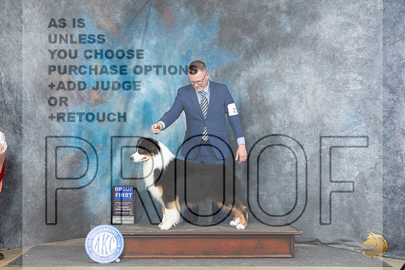 Australian Shepherd #21 Thur G1 Judge Elizabeth Muthard__JP_3756_Fayetteville2024_HR3