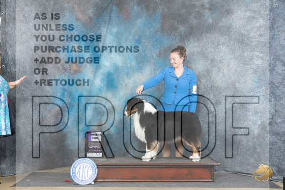Australian Shepherd #9 Thur WD Judge Charles Olvis__JP_3309_Fayetteville2024_HR3