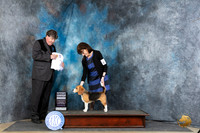 Beagle 13 #6 Thur G4 Judge Charles Olvis