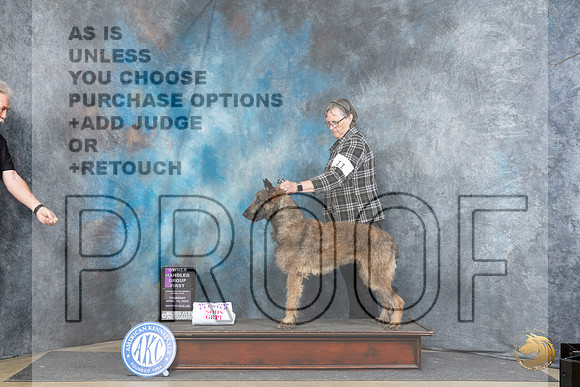Belgian Laekenois #11 Thur OHG1 Judge Carolyn Herbel__JP_3596_Fayetteville2024_HR3