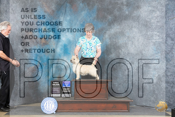 Cairn Terrier #10 Thur BOWM Judge Linda Hurlebaus__JP_3352_Fayetteville2024_HR3