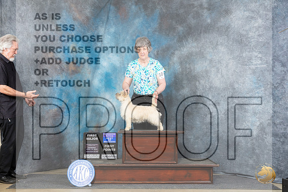 Cairn Terrier #10 Thur BOWM Judge Linda Hurlebaus__JP_3354_Fayetteville2024_HR3