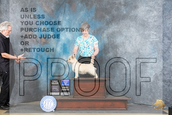 Cairn Terrier #10 Thur BOWM Judge Linda Hurlebaus__JP_3356_Fayetteville2024_HR3