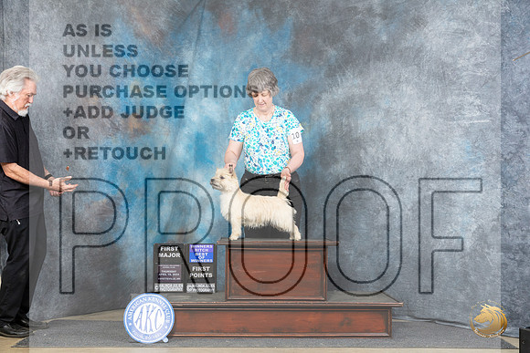 Cairn Terrier #10 Thur BOWM Judge Linda Hurlebaus__JP_3357_Fayetteville2024_HR3