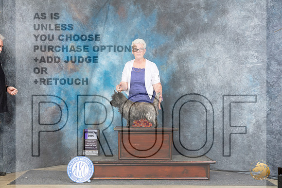 Cairn Terrier #5 Thur WD Judge Linda Hurlebaus__JP_3460_Fayetteville2024_HR3
