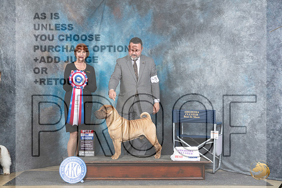 Chinese Shar Pei #5 Thur BIS Judge Linda Hurlebaus__JP_3733_Fayetteville2024_HR3