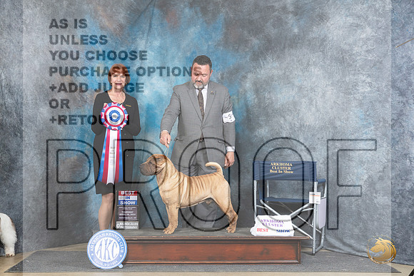 Chinese Shar Pei #5 Thur BIS Judge Linda Hurlebaus__JP_3736_Fayetteville2024_HR3
