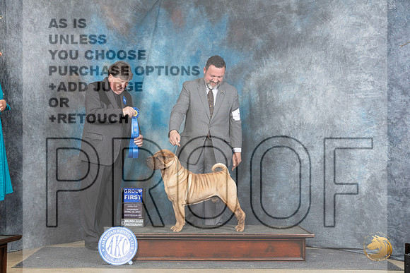 Chinese Shar Pei #7 Thur G1 Judge Charles Olvis__JP_3518_Fayetteville2024_HR3