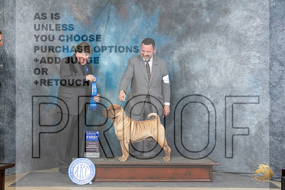 Chinese Shar Pei #7 Thur G1 Judge Charles Olvis__JP_3521_Fayetteville2024_HR3
