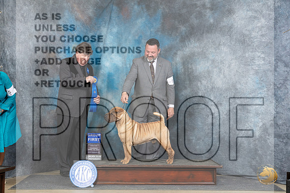 Chinese Shar Pei #7 Thur G1 Judge Charles Olvis__JP_3523_Fayetteville2024_HR3