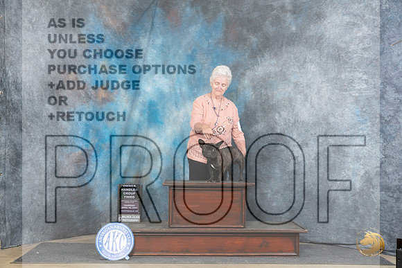 French Bulldog #20 Thurs OHG3 Judge Carolyn Herbel__JP_3467_Fayetteville2024_HR3