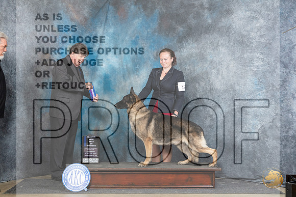 German Shepherd Dog #15 Thur BOWM Judge Charles Olvis__JP_3577_Fayetteville2024_HR3