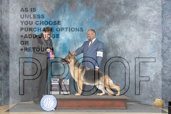 German Shepherd Dog #18 Thur  CH Judge Charles Olvis__JP_3449_Fayetteville2024_HR3