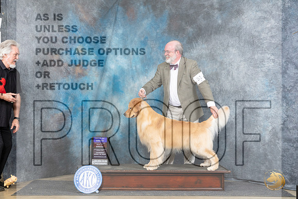 Golden Retriever #31 Thurs BOBOHBOB Judge Carolyn Herbel__JP_3332_Fayetteville2024_HR3