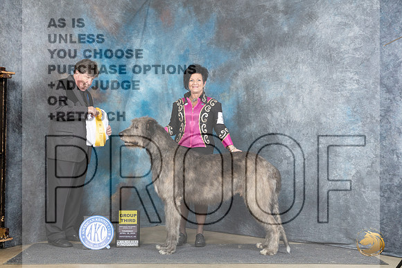 Irish Wolfhound #7 Thur G3 Judge Charles Olvis__JP_3658_Fayetteville2024_HR3