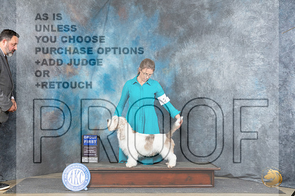 PBGV #5 Thur G1 Judge Charles Olvis__JP_3760_Fayetteville2024_HR3
