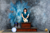Pomeranian #6 Thur BOWM Judge Elizabeth Muthard