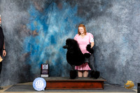 Poodle Std #17 Thur BOSM Judge Charles Olvis