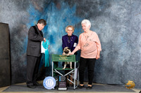 Pug #11 Thur OHBIS Judge Charles Olvis