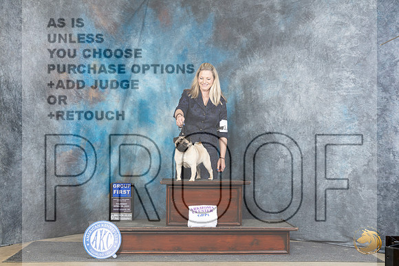 Pug #12 Thur G2 Judge Carolyn Herbel__JP_3552_Fayetteville2024_HR3