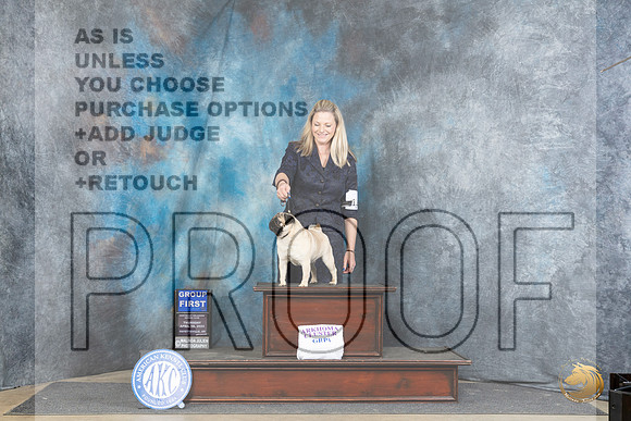 Pug #12 Thur G2 Judge Carolyn Herbel__JP_3555_Fayetteville2024_HR3