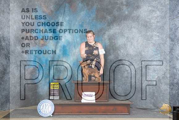 Russian Toy #5 Thur G3 Judge Carolyn Herbel__JP_3550_Fayetteville2024_HR3