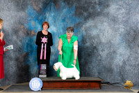 Sealyham Terrier #10 Thur RBIS Judge Linda Hurlebaus