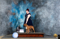 Staffordshire Bull Terrier #5 Thur OHG4 Judge Linda Hurlebaus