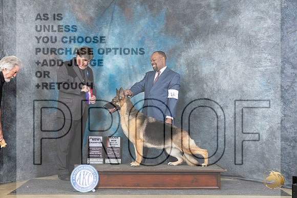 German Shepherd Dog #18 Thur  CH Judge Charles Olvis__JP_3451_Fayetteville2024_HR3