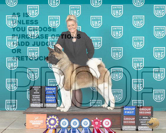 Akita #194 Sat RBIS Judge Lynnn Martin__JP_0967e_UKCMWC_2024_HR3