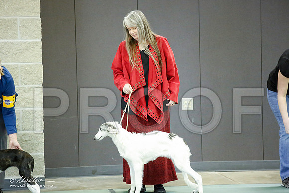 _JN_3333-BeltonJan2015-HR3