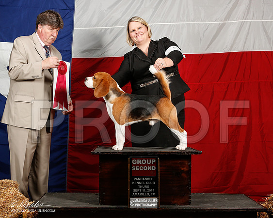 _ST_1451-2-AmarilloSep2014-HR3