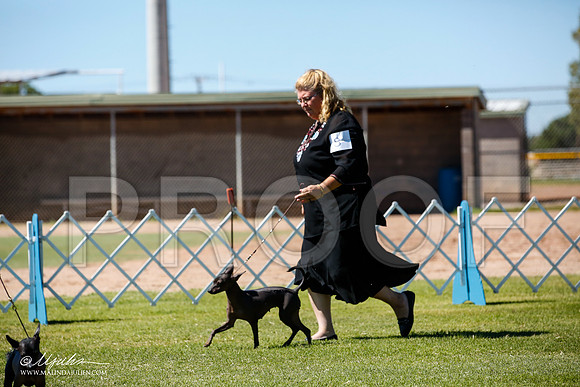 _JJ_8558-AlamogordoOct2014-HR3