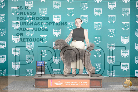 Poodle Standard Multi #112 Fri G1 Judge Matt Proctor__JP_1193_Longview WA_2024_HR3