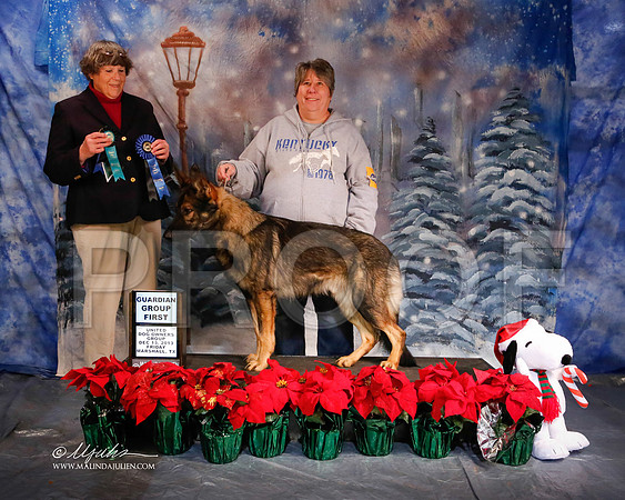 GSD-5875-MrshlDec13-HR
